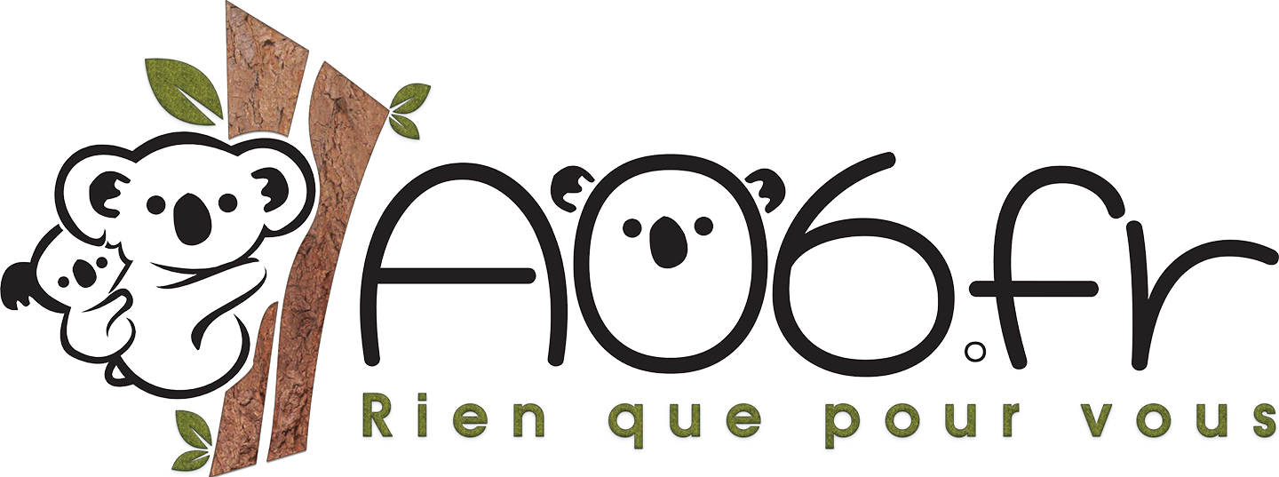 a06-fr_logo.png